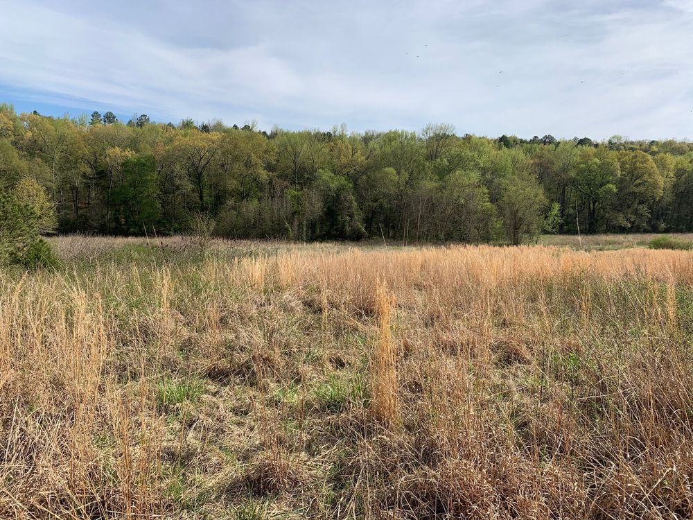 TBD Pleasant View Rd: TBD Pleasant View Rd, Ozark, AR 72949